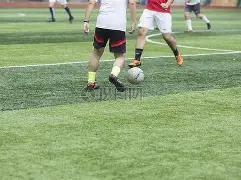 华裔,岁新星瑞安,蒂格首次亮,中彩网,彩票预测,彩票平台,在线投注,高频彩票