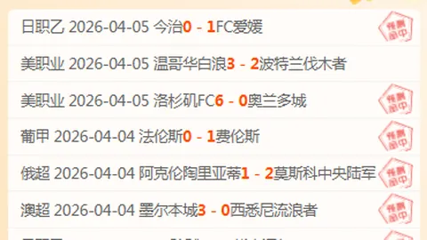 澳超晨场力争胜利，深度剖析焦点赛事亮点